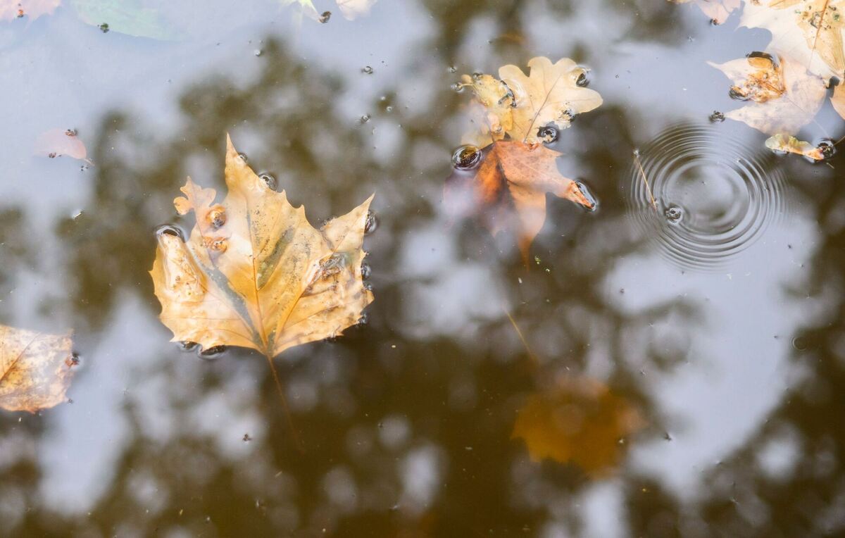 Herbststimmung Herbststimmung