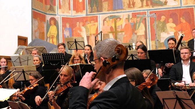 Mit Bildhaftem aus der Welt der Sinfonik begeisterte das Orchester in der Christuskirche.