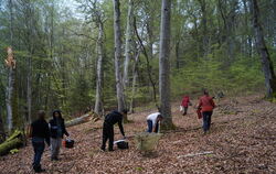 Im Gomadinger Wald sammeln die Forscher Proben für das Langzeitprojekt.
