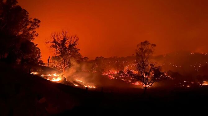 Buschbrand in Australien