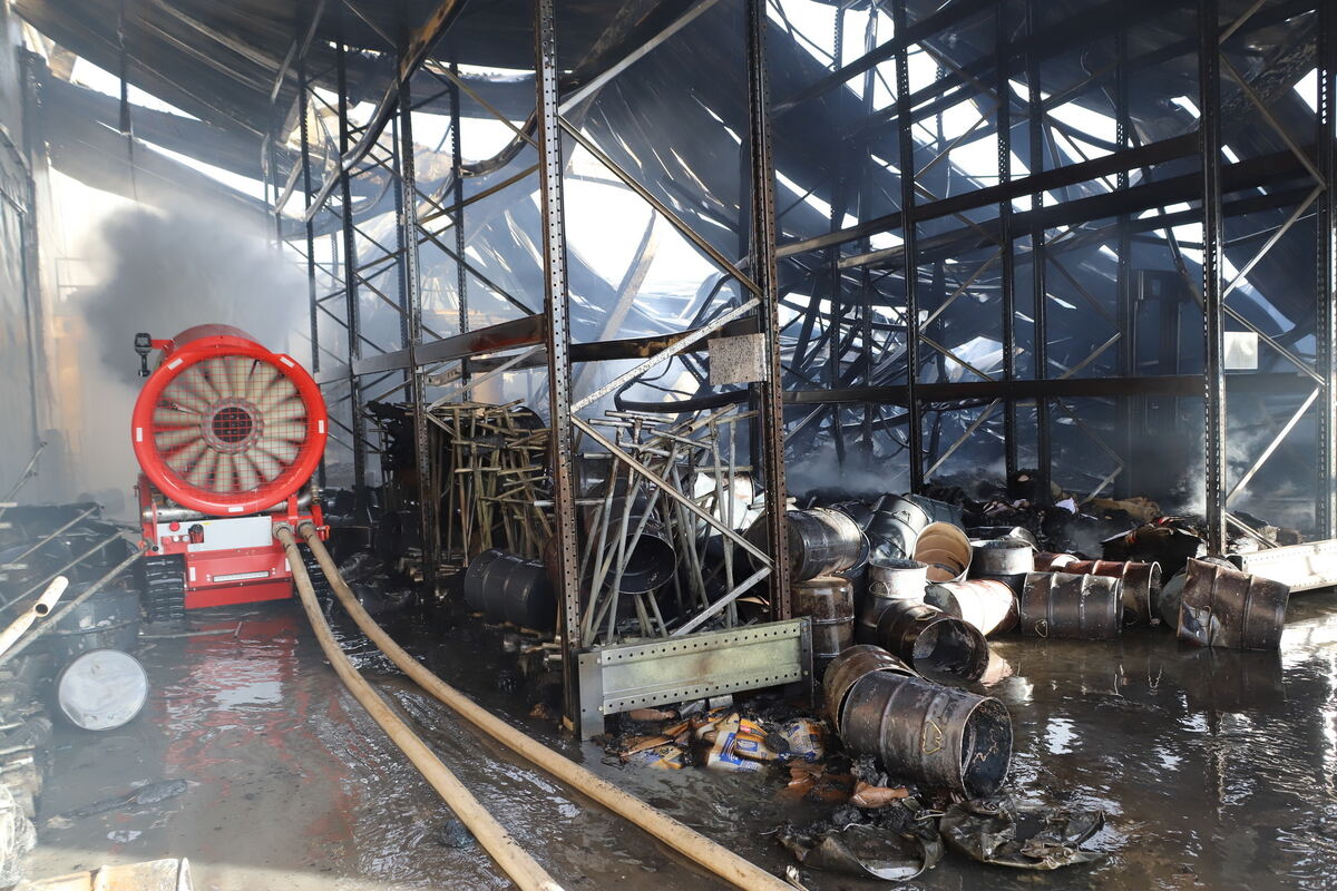 Brand_Haid_Roll_OL__02