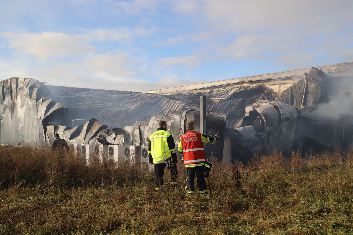 Brand_Haid_Roll_OL__03