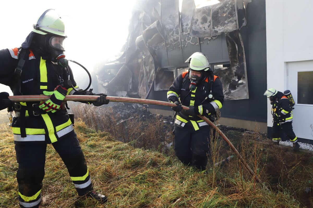 Brand_Haid_Roll_OL__05