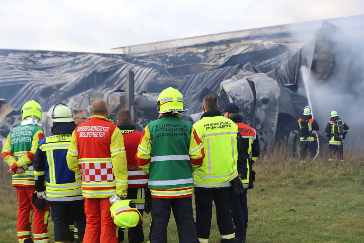 Brand_Haid_Roll_OL__10