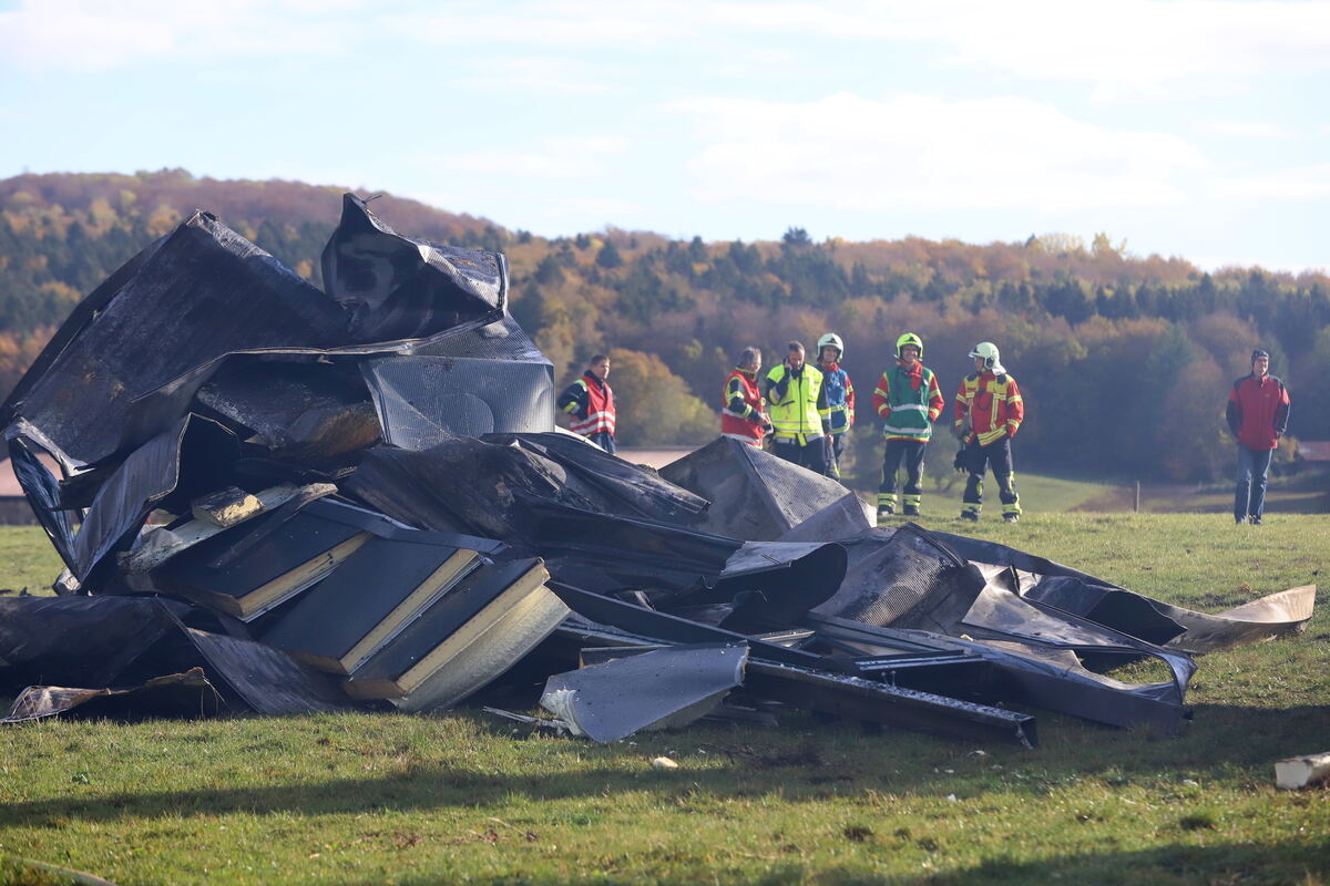 Brand_Haid_Roll_OL__13