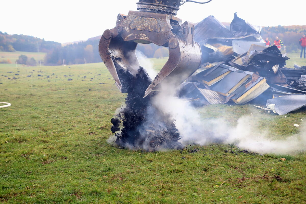 Brand_Haid_Roll_OL__16