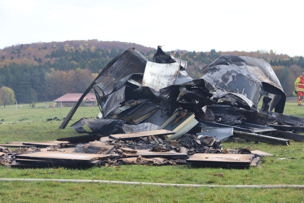 Brand_Haid_Roll_OL__18