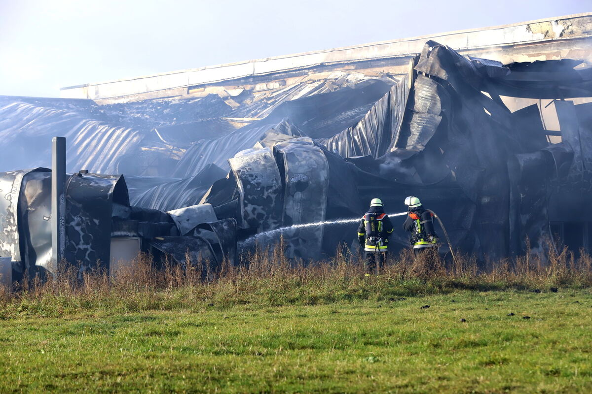 Brand_Haid_Roll__039