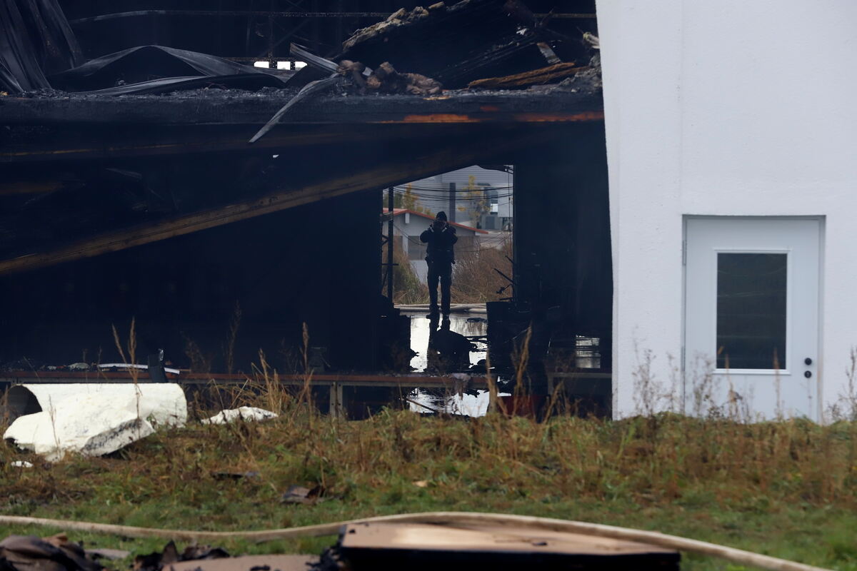 Brand_Haid_Roll__115