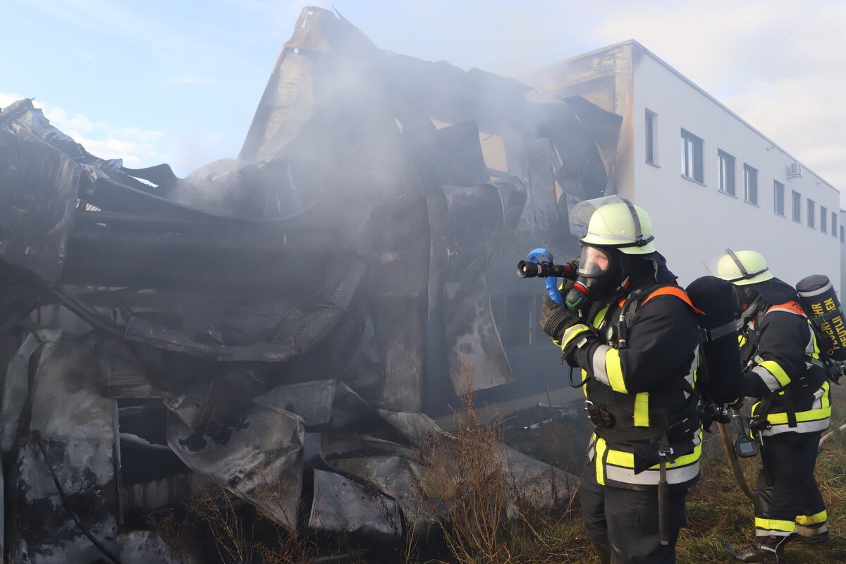 Brand_Haid_Roll__027