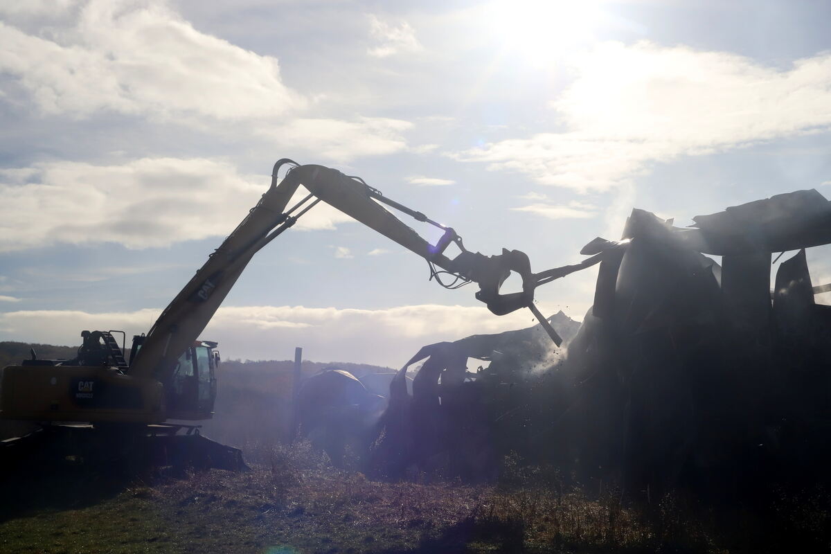 Brand_Haid_Roll__053