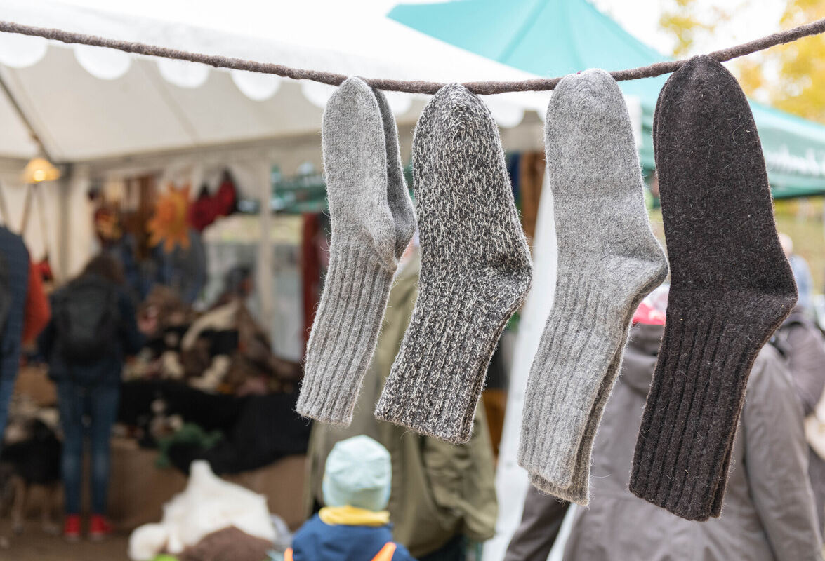 Schön_Gut_29_10_2023_Schanz_021