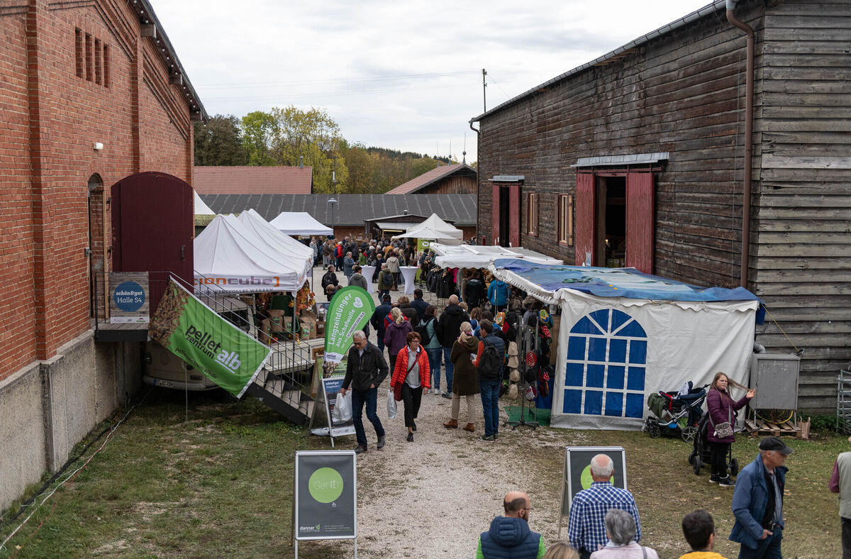 Schön_Gut_29_10_2023_Schanz_022