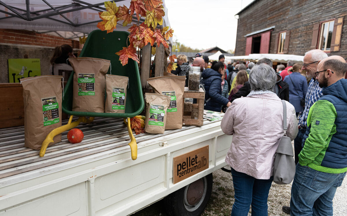 Schön_Gut_29_10_2023_Schanz_025