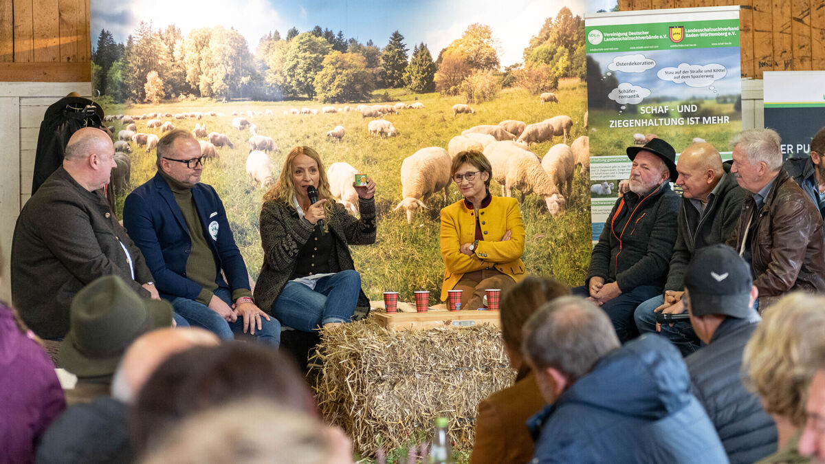 Schön_Gut_29_10_2023_Schanz_037