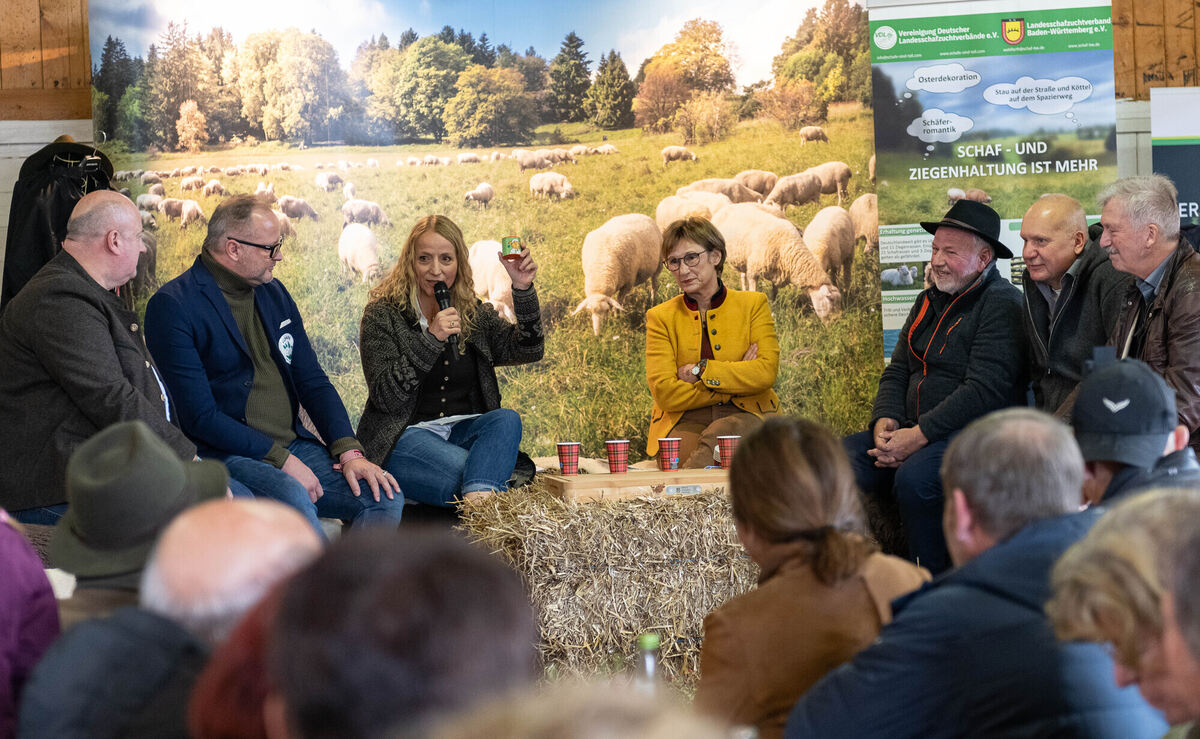 Schön_Gut_29_10_2023_Schanz_038