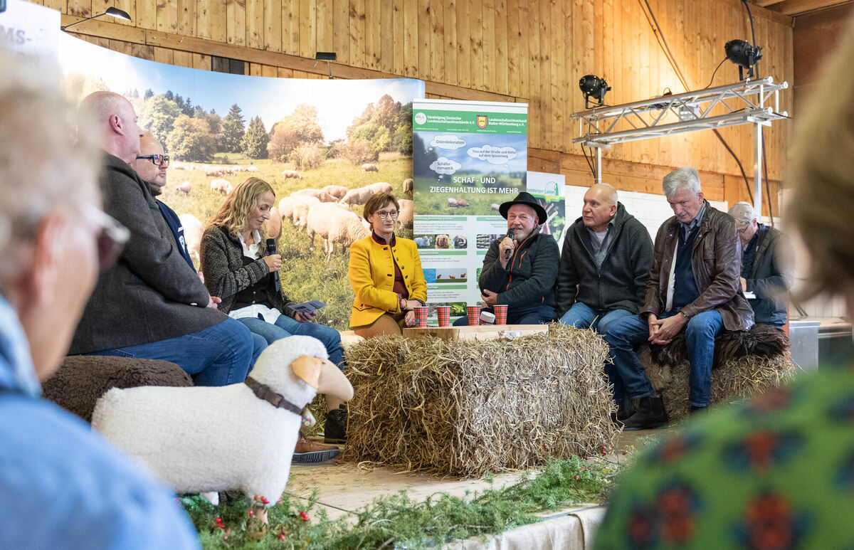 Schön_Gut_29_10_2023_Schanz_043