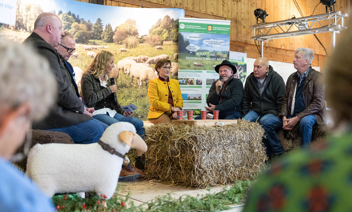 Schön_Gut_29_10_2023_Schanz_044