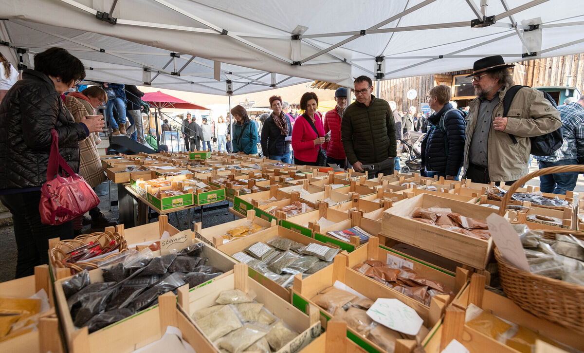 Schön_Gut_29_10_2023_Schanz_064