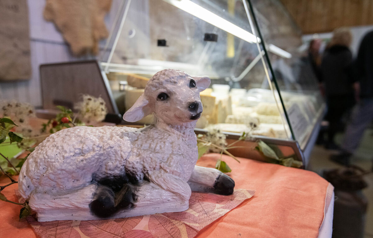 Schön_Gut_29_10_2023_Schanz_067