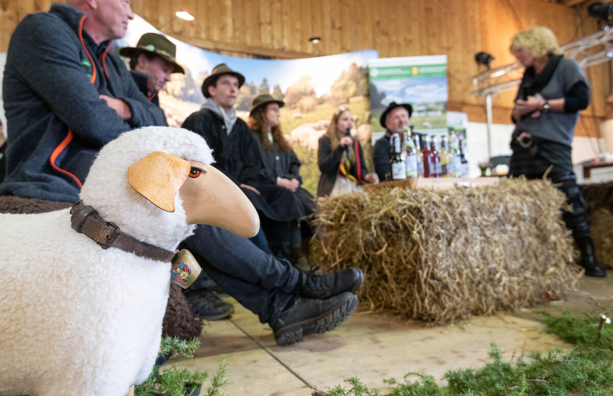 Schön_Gut_29_10_2023_Schanz_006