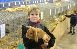 Der begeisterte Kaninchenzüchter Lukas Buchfink aus Großbettlingen ist bei der Widderclubschau mit seinem Kleinwidder gelb Rasse