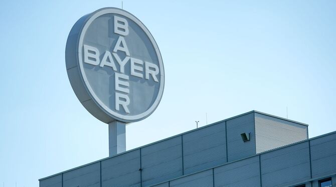 Bayer