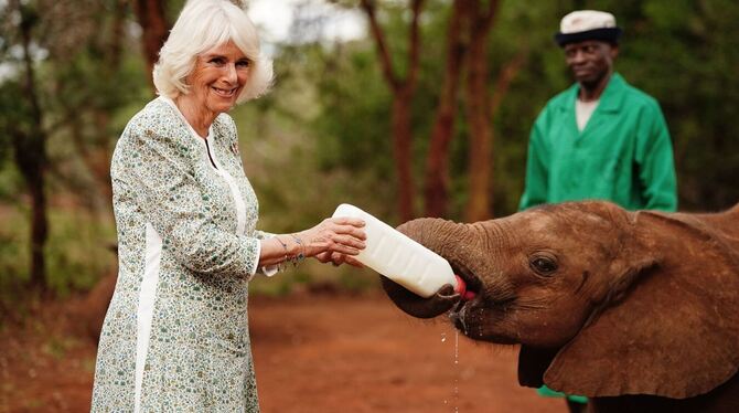 Königin Camilla in Kenia