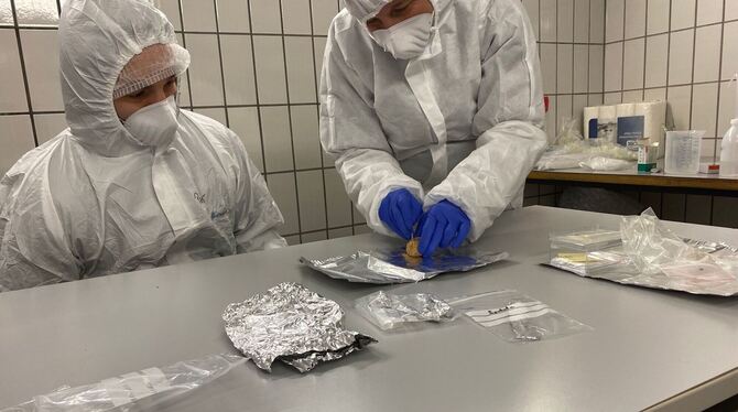 Wollnashorn-DNA in fossilem Hyänen-Kot gefunden