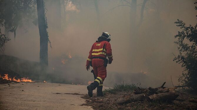 Waldbrände in Spanien
