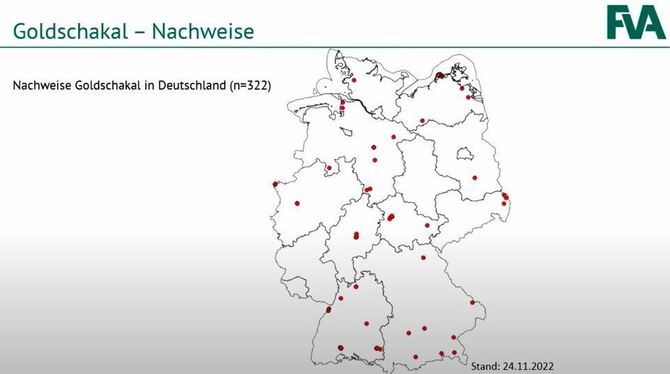 Auf dieser Deutschlandkarte hat die Forstliche Versuchsanstalt Baden-Württemberg eingezeichnet, wo bislang Goldschakale nachgewi