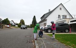 Viele zu schnelle Autofahrer gefährden in der Metzinger Straße von Mittelstadt laut Anwohnern spielende Kinder. 