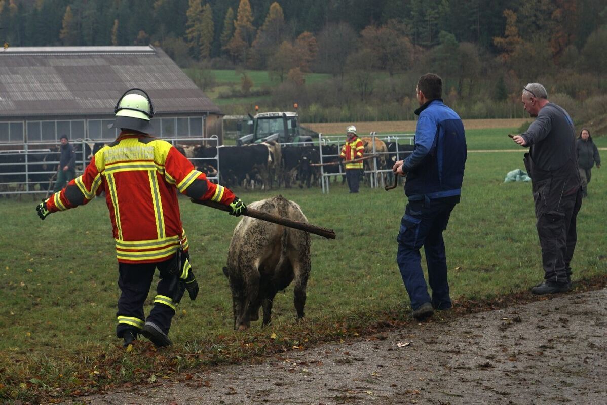 11_23_Brand_Geisingen_20