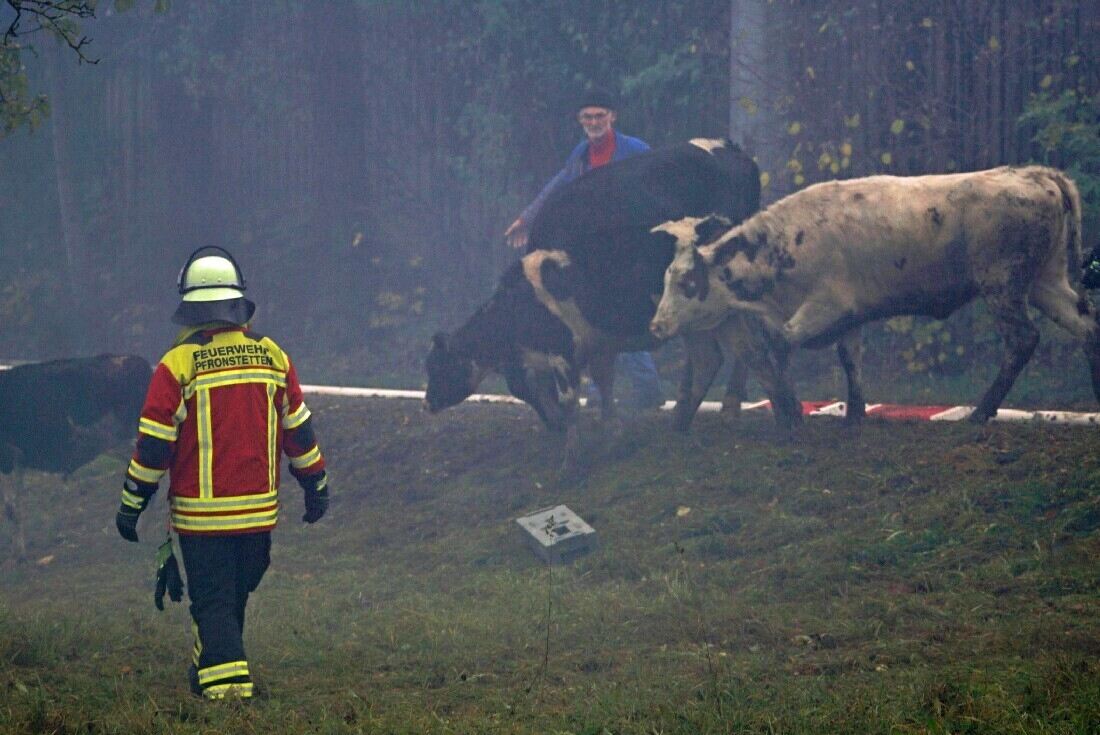 11_23_Brand_Geisingen_23