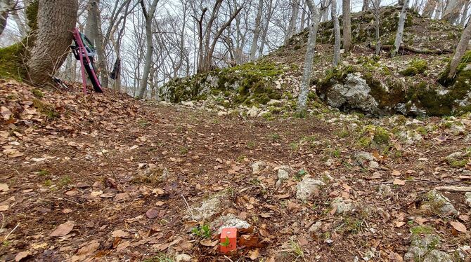 Die Reste der Burg Hohengenkingen werden untersucht. So wie auf dem Bild vom März sieht es auf dem Hügel nicht mehr aus: Der Stu