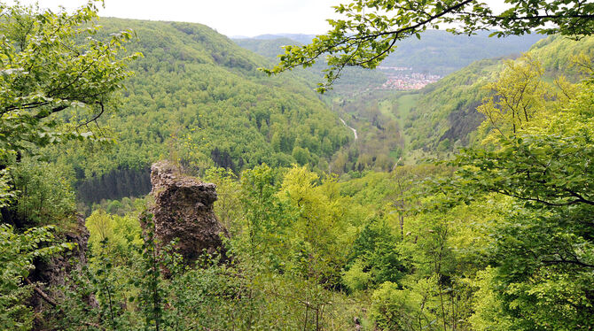 Blick ins Zellertal. Rechter Hand soll die neue Pflegezone beginnen.