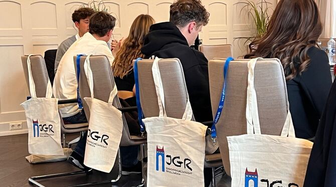 Der Pfullinger Jugendgemeinderat verabschiedete seinen Haushalt.