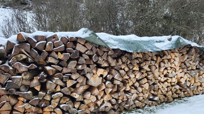 Die Gemeinde Hohenstein verzichtet auf die Erhöhung des Brennholzpreises.