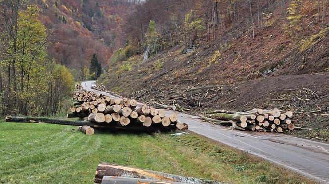 Die Polder an der B 465 sind inzwischen weg.