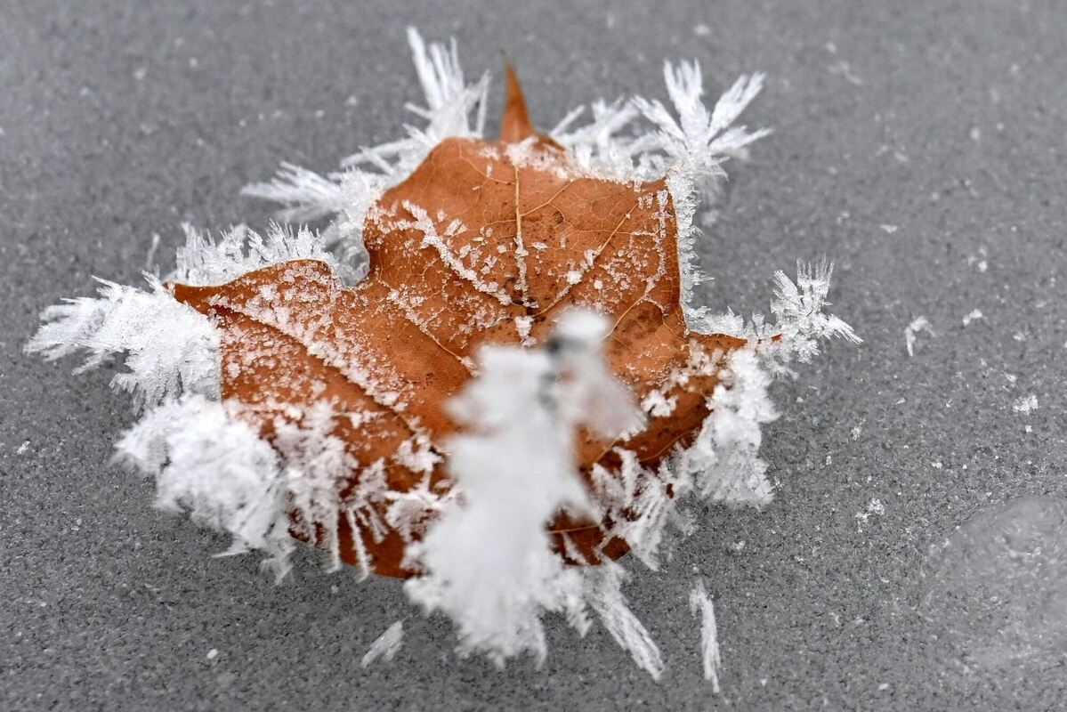 Schönheiten des Winters