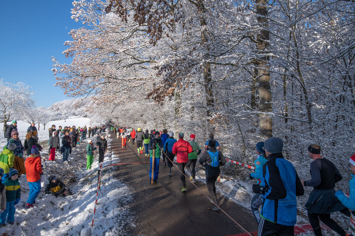 Nikolauslauf_TÜ_03_12_2023_online_Schanz_017