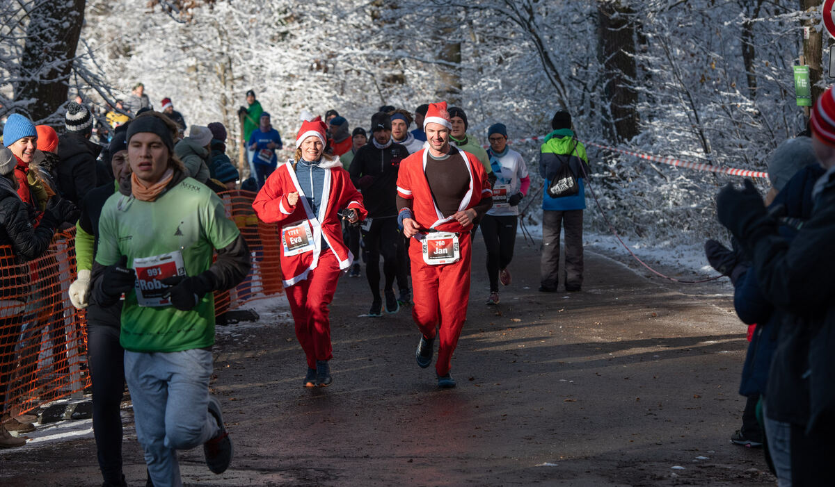 Nikolauslauf_TÜ_03_12_2023_online_Schanz_035