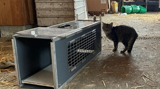 Geht sie rein oder nicht?