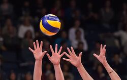 Volleyball Champions League