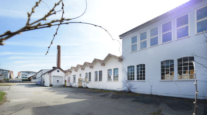 2025 soll die Bebauung des Egelhaaf-Areals beginnen. Der Schornstein und ein Teil der Shedhallen bleiben stehen.