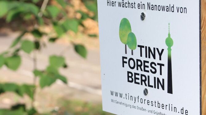 Mini-Wälder in der Stadt