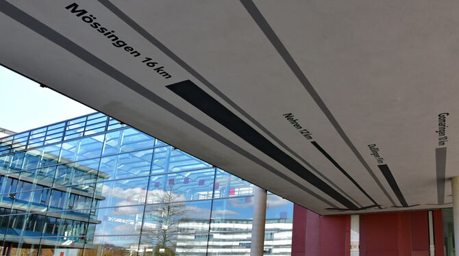 Der neue Haushalt des Kreistags gibt den Kommunen für 2024 die Richtung vor. FOTO: MEYER Der neue Haushalt des Kreistags gibt den Kommunen für 2024 die Richtung vor. FOTO: MEYER