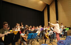 Das Fachbereichskonzert der Musikschule Pliezhausen begeisterte das Publikum in diesem Jahr. 