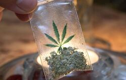 Test zu legalem Marihuana-Anbau