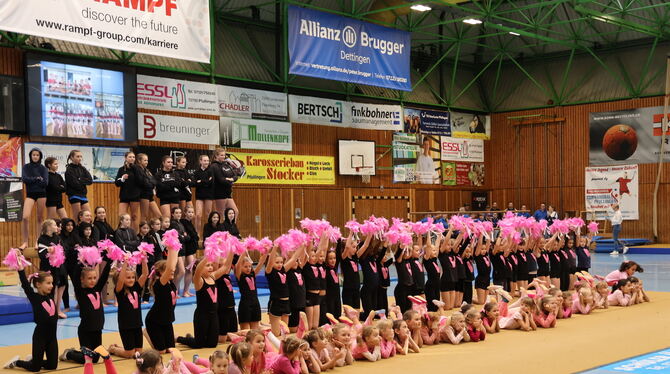 Jahresabschlussfeier VfL Pfullingen Turnabteilung Geräteturnen Mädchen: Let's Cheer: Barbie meets Rocky